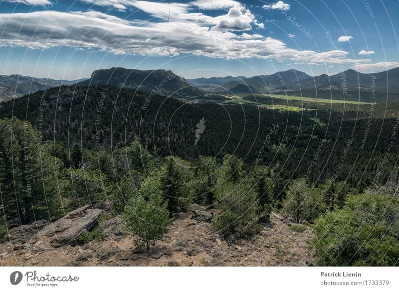 Forest Canyon Beautiful Vacation & Travel Tourism Adventure Summer Mountain Environment Nature Landscape Sky Clouds Climate change Weather Tree Park Meadow Hill