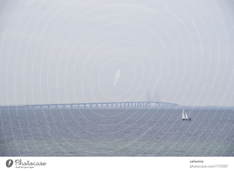 Wide sea Colour photo Exterior shot Evening Sailing Horizon Bad weather Baltic Sea Ocean Bridge Oeresund bridge Navigation Sport boats Sailboat Sailing ship