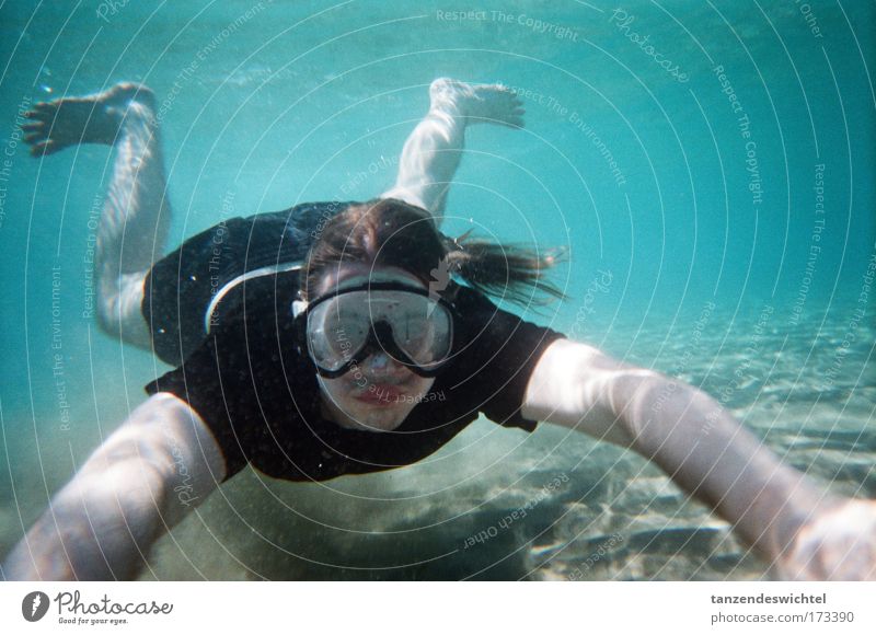 The black and white shark Colour photo Underwater photo Full-length Looking into the camera Human being Masculine Nature Sand Water Sunlight Waves Beach Ocean