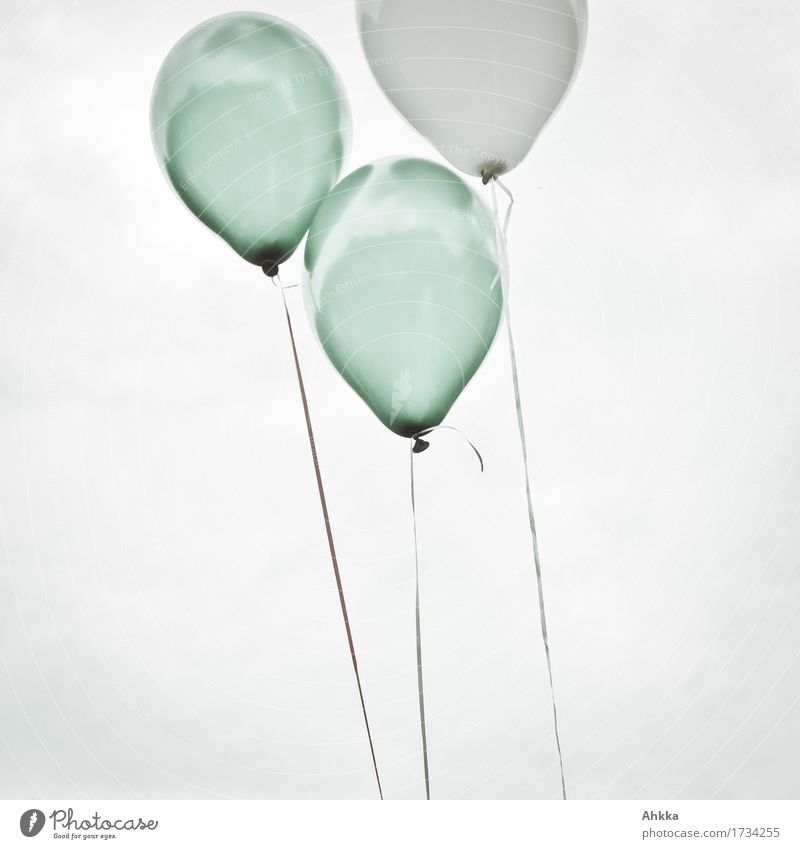 Two green and one white balloon, which rise to the sky and leave the picture Sky Balloon Flying Free Above Retro Round Contentment Relationship Equal luck