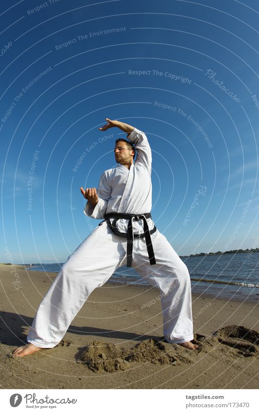 TIGERK(R)ALL Taekwondo Karate Fighter Martial arts Martial artist tigerstyle Colour photo Copy Space Claw Posture Sebastian Clever Black Belt Combat dress