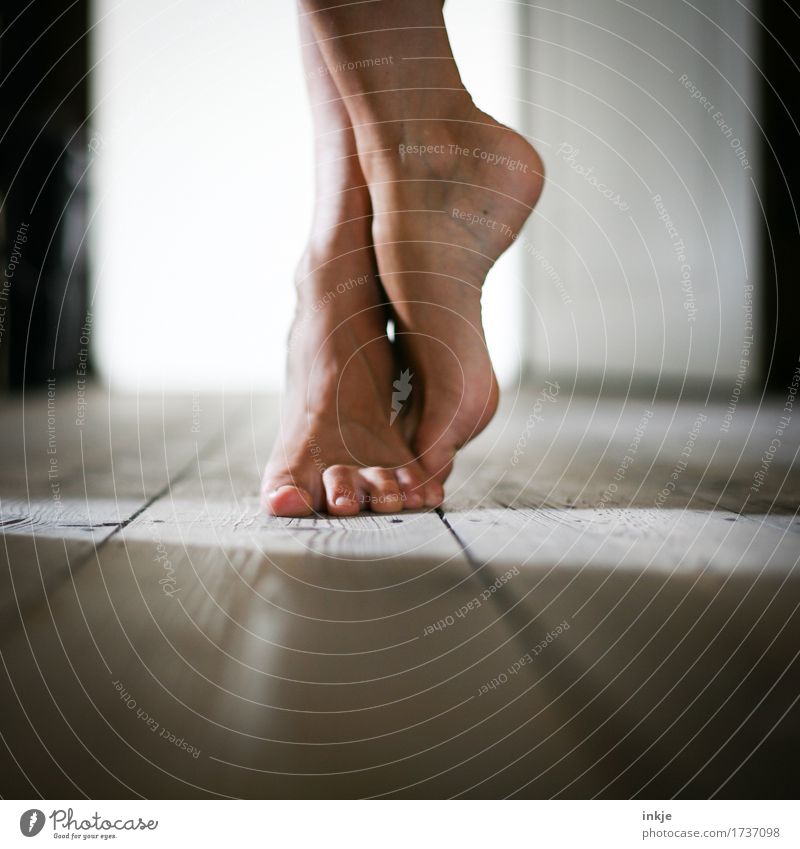 barefoot Lifestyle Leisure and hobbies Living or residing Wooden floor Woman Adults Feet Women`s feet 1 Human being Stand Wait Emotions Moody Esthetic