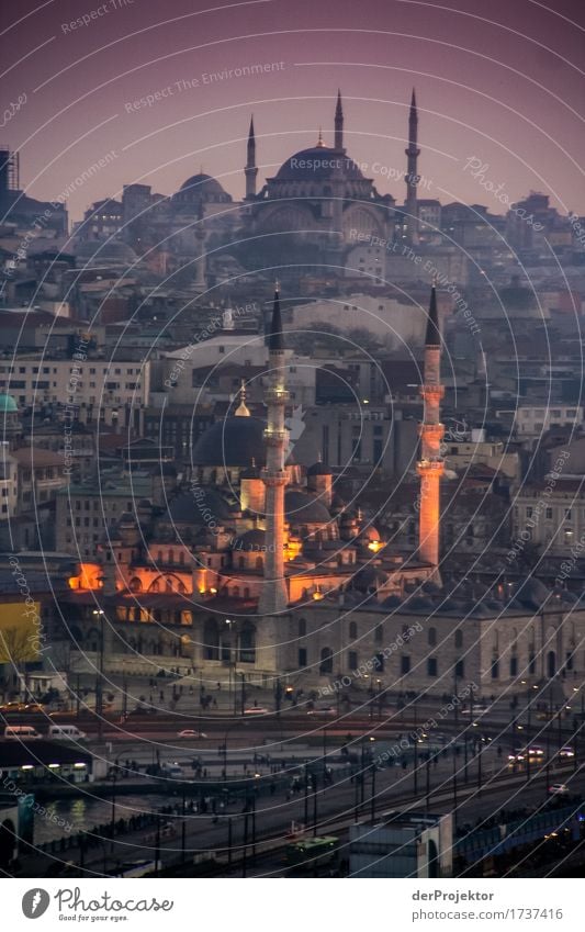 blue mosque at night