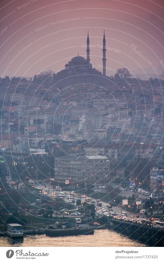 View of mosques in Istanbul III Evening Blue Historic Hill Turkey Mosque Blue Mosque Religion and faith Europe Minaret Panorama (View) Sunset Artificial light