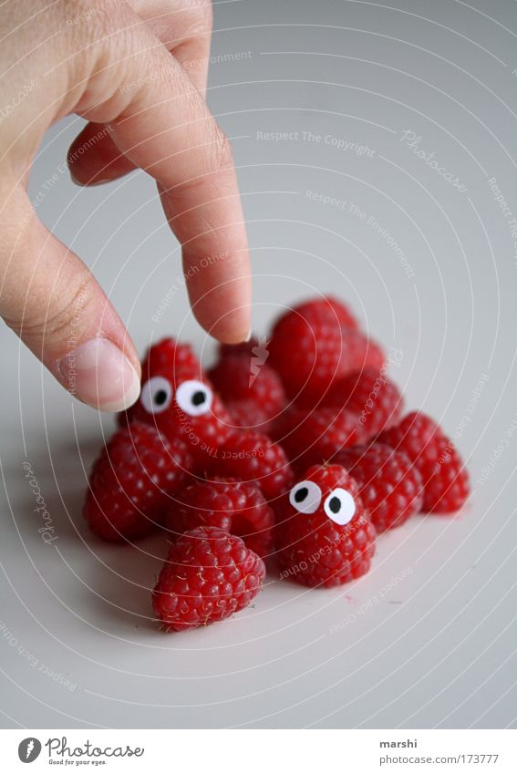 soon you will be raspberry ice cream... Colour photo Food Fruit Nutrition Eating Organic produce Vegetarian diet Diet Eyes Hand Fingers Healthy Delicious Red