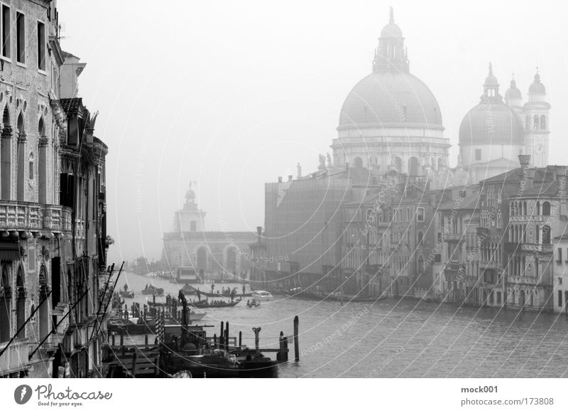 Venice in February Black & white photo Exterior shot Shadow Silhouette Central perspective Lifestyle Vacation & Travel Tourism Sightseeing City trip Winter Fog