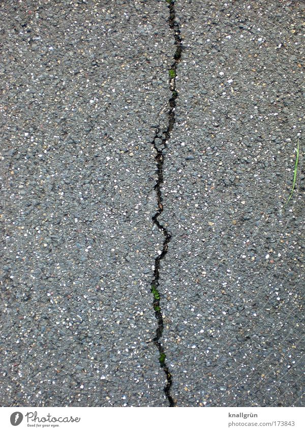 Not together anymore Street Lanes & trails Asphalt tar surface rolled gravel Gray Black White Divide Crack & Rip & Tear Column Zigzag Crevice