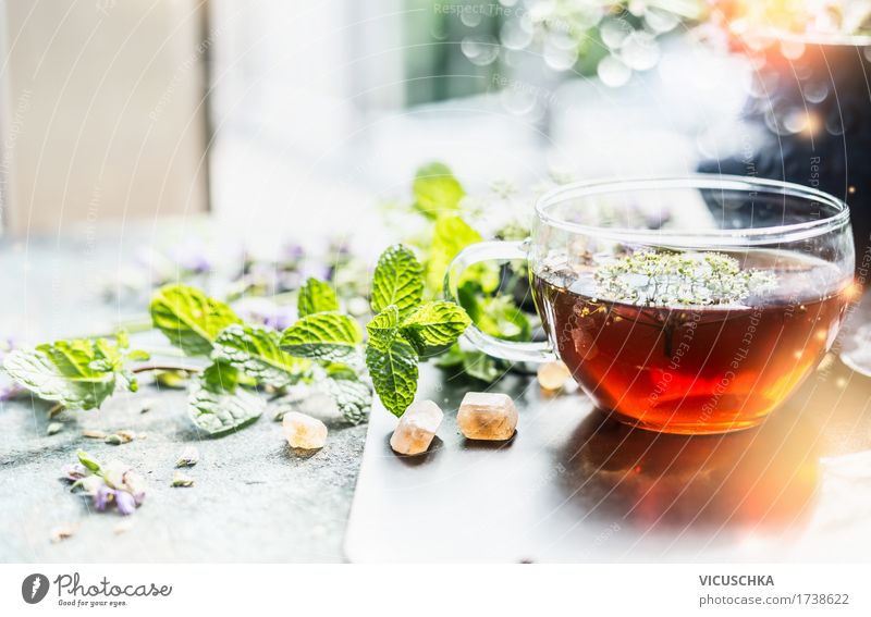 Cup with herbal tea at the window Food Herbs and spices Organic produce Vegetarian diet Diet Beverage Hot drink Tea Style Design Healthy Alternative medicine