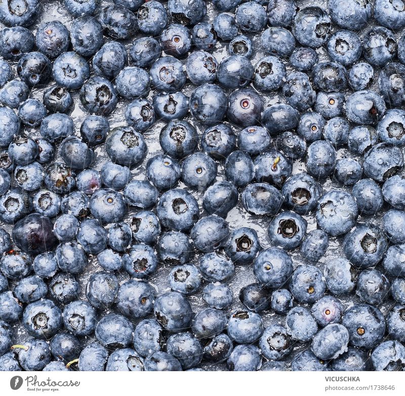 Blueberry Background Food Fruit Dessert Nutrition Organic produce Style Design Healthy Eating Life Nature Background picture Vitamin Berries Colour photo