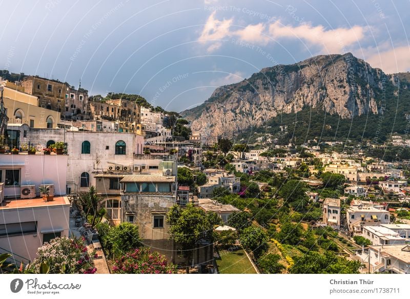 capri Harmonious Well-being Contentment Senses Relaxation Vacation & Travel Tourism Trip Adventure Summer Summer vacation Island Mountain Hiking Sky