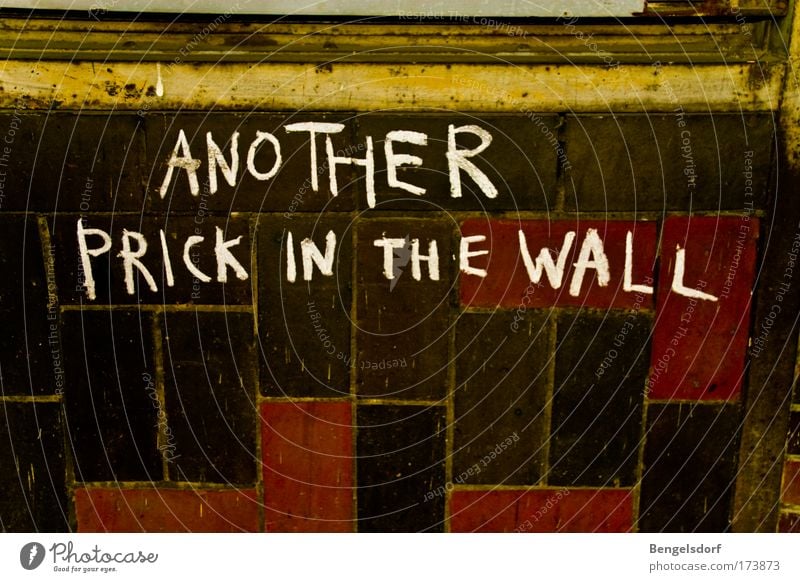 Another prick in the wall Lifestyle Wall (barrier) Wall (building) Facade Aggression Change Colour photo Subdued colour Interior shot Copy Space bottom Graffiti