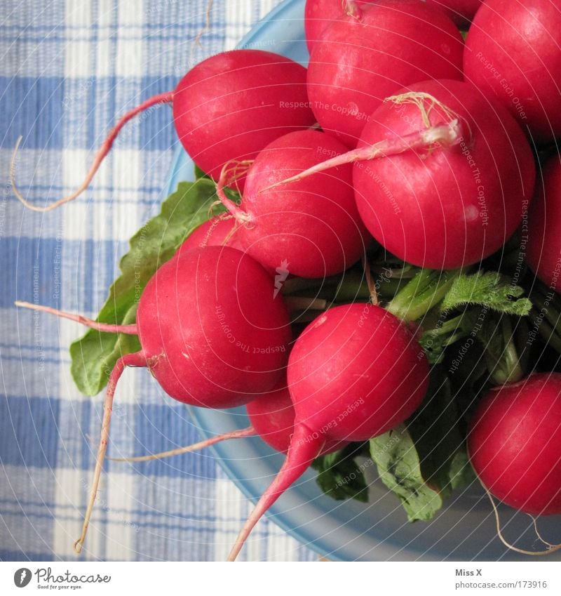 radish Colour photo Multicoloured Interior shot Close-up Detail Food Vegetable Nutrition Dinner Buffet Brunch Banquet Picnic Organic produce Vegetarian diet