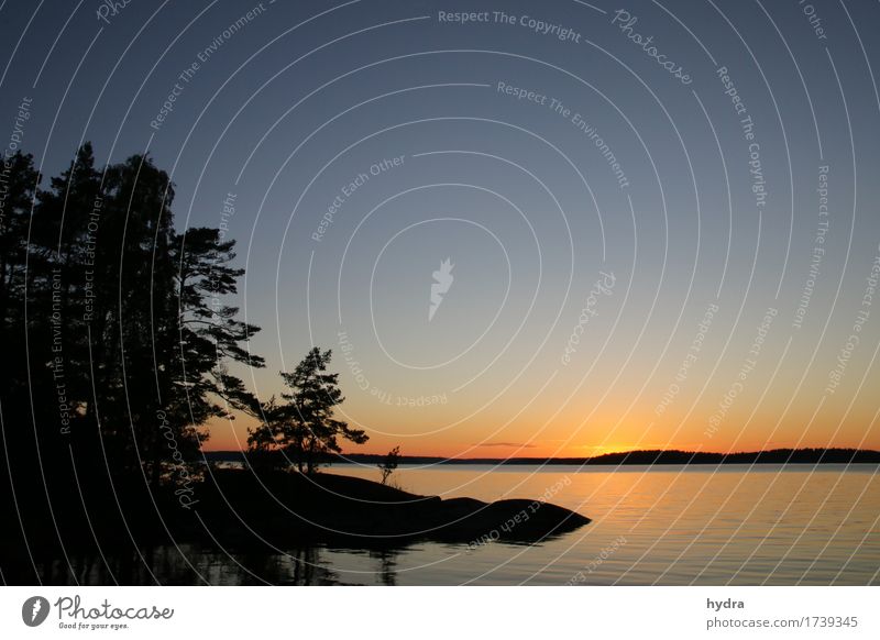 Midsummer sun on a skerry in Sweden with blue sky and some forest Vacation & Travel Summer solstice Summer vacation Sun Ocean Island Cloudless sky Horizon