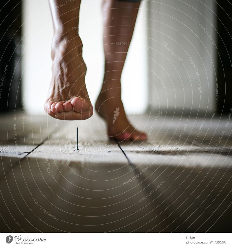 the what-happens-then-story Living or residing Woman Adults Life Feet Barefoot 1 Human being Wooden floor Floorboards Nail Going Threat Point Inattentive