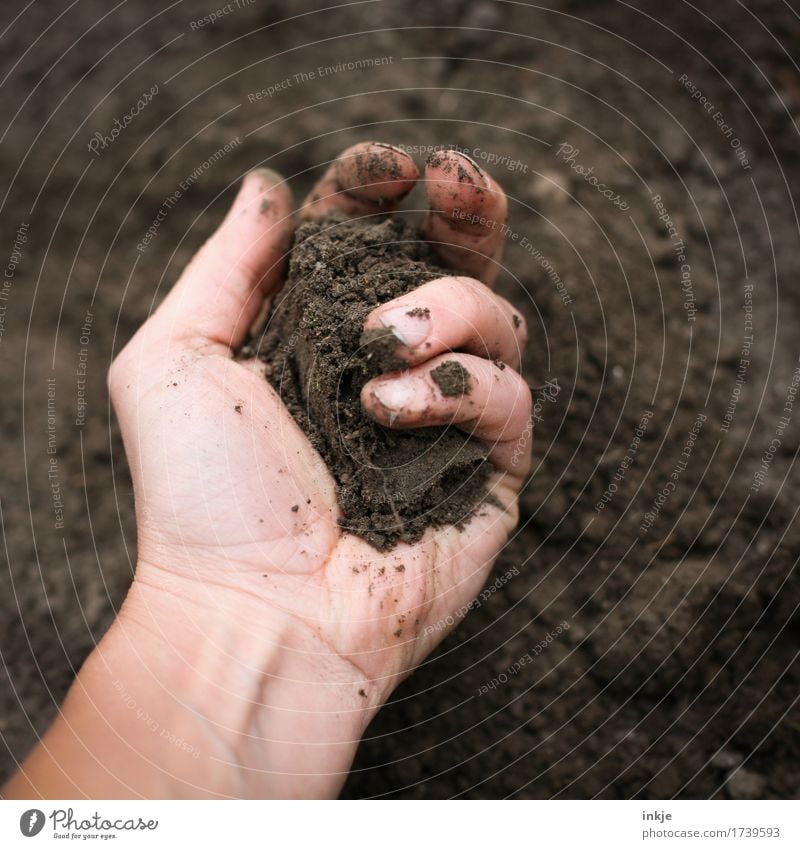 handful Gardening Adults Life Hand 1 Human being Nature Elements Earth To hold on Dirty Natural Soft Brown Senses Dig Take Muding Colour photo Exterior shot
