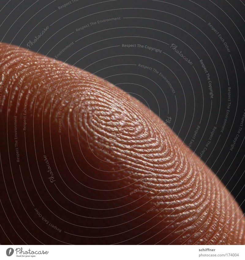 maze Macro (Extreme close-up) Skin Hand Fingers Near Fingerprint Profile papillary borders Uniqueness Fingertip Thumb Arrangement Human being Arch Whorl Maze