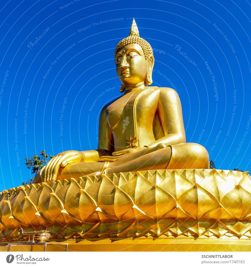 Fine giant Theravada Buddha seated in lotus posture Exotic Beautiful Harmonious Contentment Meditation Vacation & Travel Tourism Summer Success Sculpture Gold