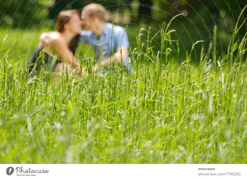 spring fever Couple Love Emotions Spring fever Summer Blur Grass Meadow Sit Lovers Affection Man Woman Boy (child) Lady Masculine Feminine Nature Exterior shot