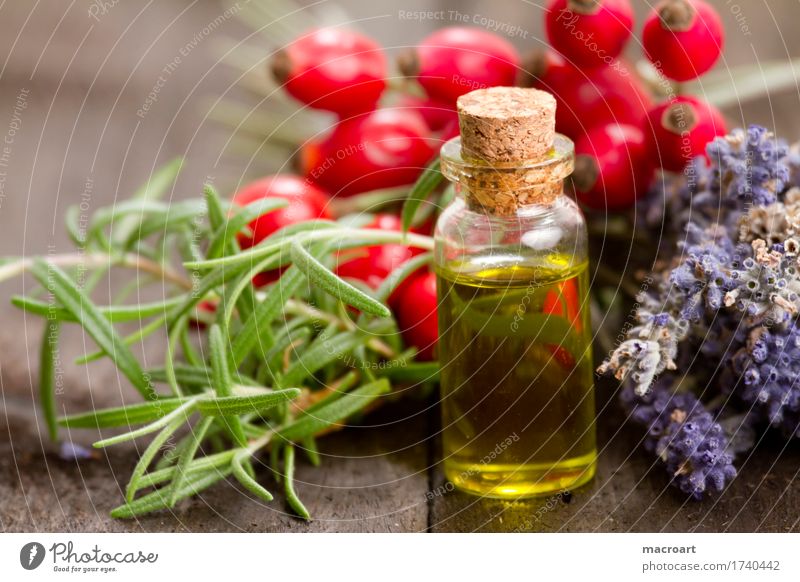 vegetable oil Cooking oil Nature Natural Fat Fatty acid Rosemary Herbs and spices healing oils essential oils Rose hip Dog rose Lavender Food Nutrition