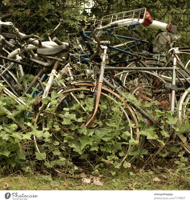 quasi gold Colour photo Exterior shot Deserted Day Environment Grass Ivy Means of transport Bicycle Metal Whimsical Logistics Sadness Environmental pollution