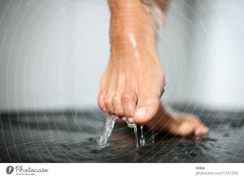 dripping wet Beautiful Personal hygiene Pedicure Wellness Spa Woman Adults Life Feet Women`s feet Barefoot 1 Human being Water Drops of water Stand Near Wet