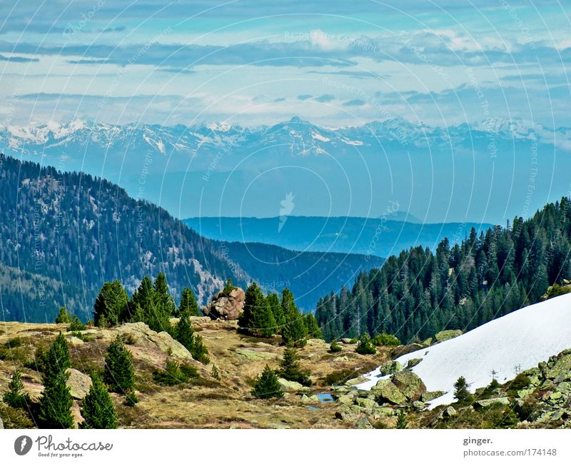 La Montanara for the Objektihief Well-being Far-off places Snow Mountain Environment Nature Landscape Sky Clouds Spring Ice Frost Tree Forest Rock Dolomites