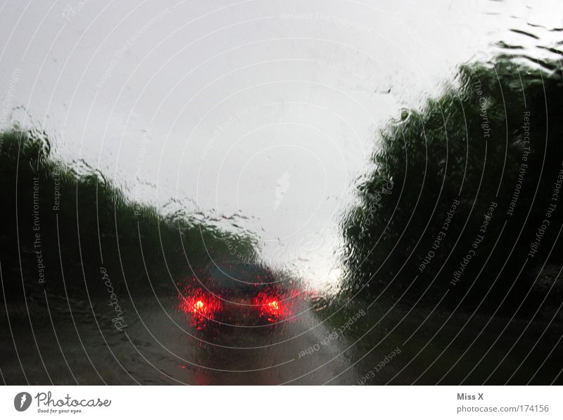 When's it gonna be summer again? Exterior shot Deserted Day Evening Twilight Blur Rear view Summer Drops of water Storm clouds Climate Climate change