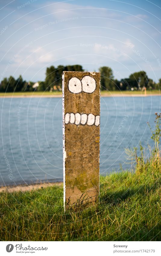 rheinbeisser Landscape Grass River bank Rhine Concrete Graffiti Brash Funny Signs and labeling Street art Eyes Teeth Comic Colour photo Exterior shot Deserted