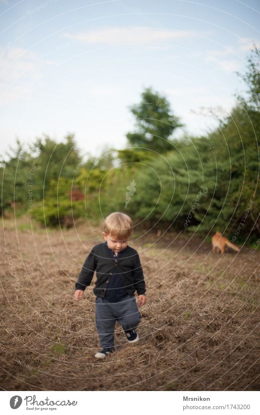 Together you're less alone Human being Child Toddler Boy (child) Infancy Life 1 1 - 3 years Nature Summer Beautiful weather Cat Animal Walking Looking Field