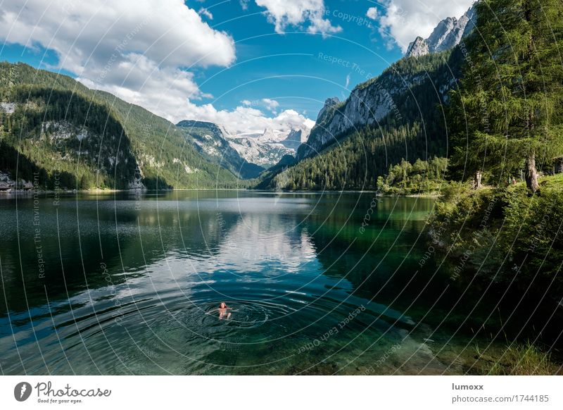 Auffi obi eini Swimming & Bathing Hiking Nature Landscape Water Clouds Summer Rock Alps Mountain Dachstein mountains Lakeside Gosau lake Freeze Blue Green