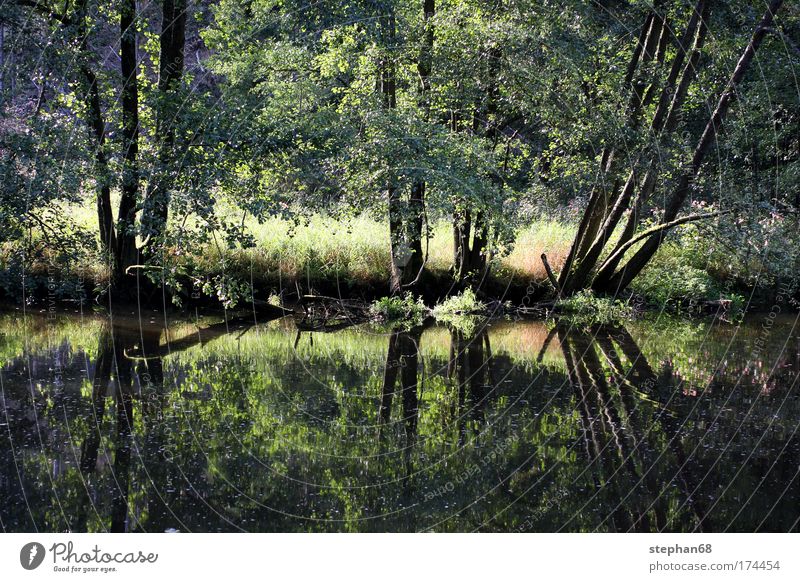 pfreimd Colour photo Exterior shot Deserted Day Shadow Contrast Reflection Central perspective Harmonious Relaxation Calm Vacation & Travel Trip Summer Sun