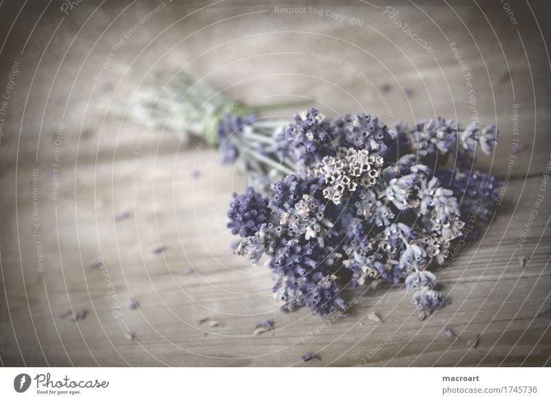 lavender Lavender floats Table Wooden table Board Blossoming Flower Comforting Medicinal plant Medication Alternative medicine Soul Healthy Decoration