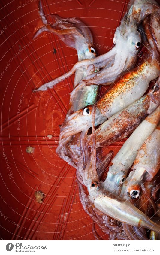 Noon. Art Esthetic Squid Seafood Fish market Fresh Fishing quota Catch Fishery Tentacle Colour photo Multicoloured Exterior shot Close-up Detail Experimental