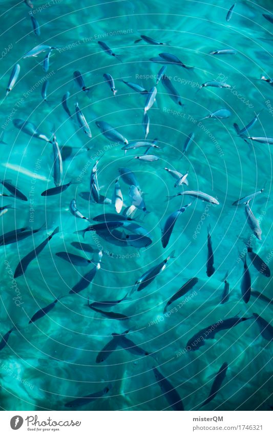 Fish. Art Esthetic Fishery Fisherman Shoal of fish Ocean Surface of water Peaceful Many Summer vacation Vacation photo Colour photo Multicoloured Exterior shot