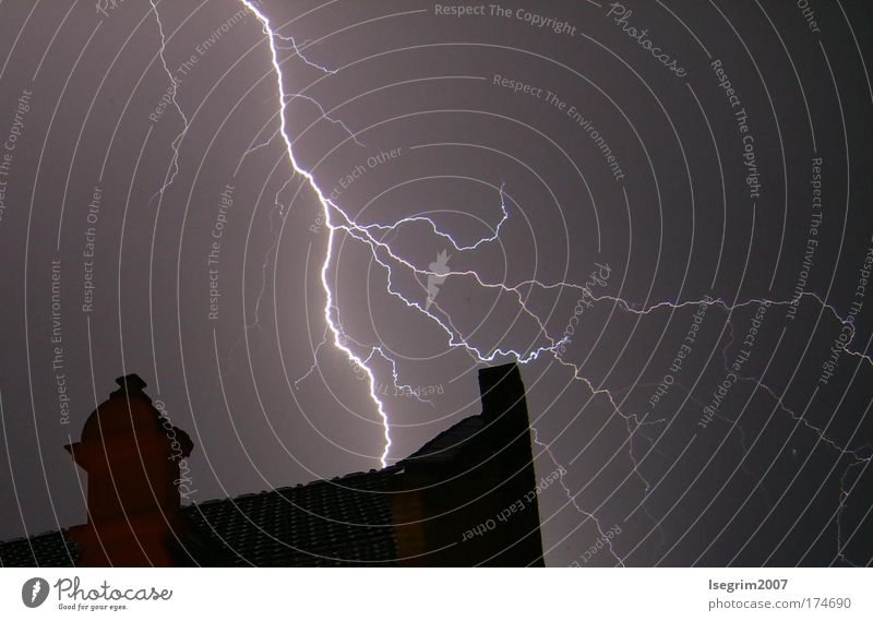 Lightning at night Colour photo Exterior shot Night Nature Elements Sky Clouds Storm clouds Night sky Summer Weather Bad weather Thunder and lightning Warmth