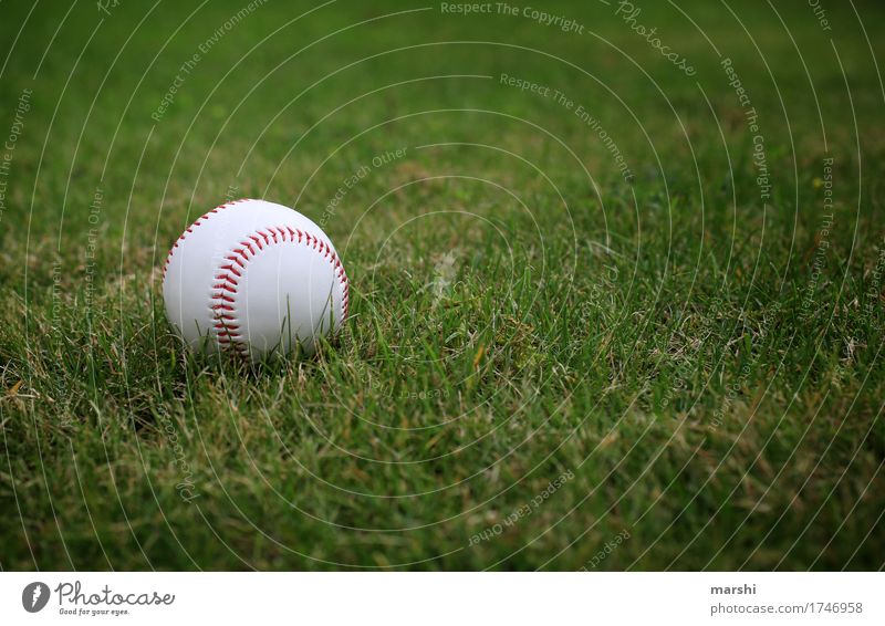 baseball Sports Fitness Sports Training Ball sports Sports team Sporting Complex Sporting event Moody Baseball Meadow Athletic Americas Colour photo