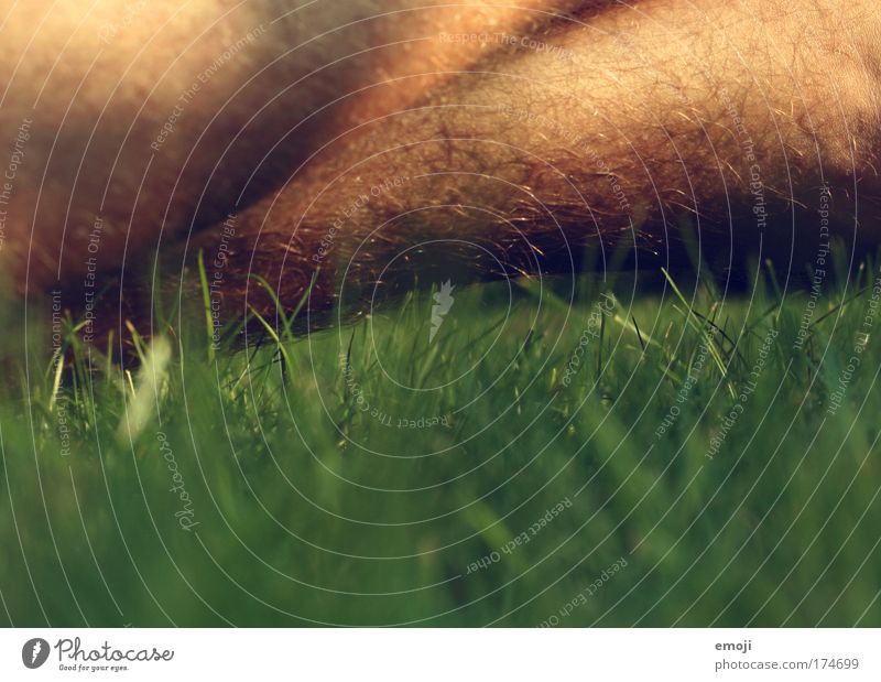 double ticklish Colour photo Exterior shot Close-up Detail Copy Space bottom Day Sunlight Shallow depth of field Masculine Legs Warmth Green Hair Grass
