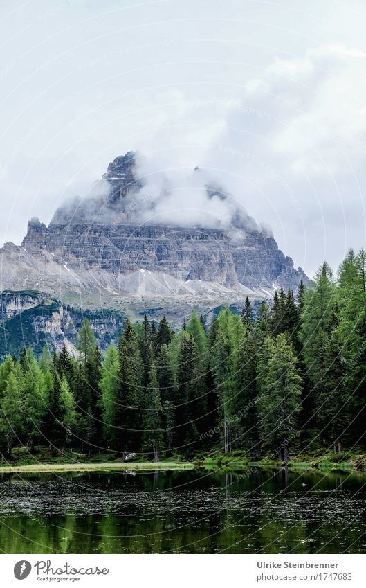 At the Lago d'Antorno Vacation & Travel Tourism Trip Summer Summer vacation Mountain Hiking Nature Landscape Plant Sky Clouds Weather Fog Tree Fir tree Rock