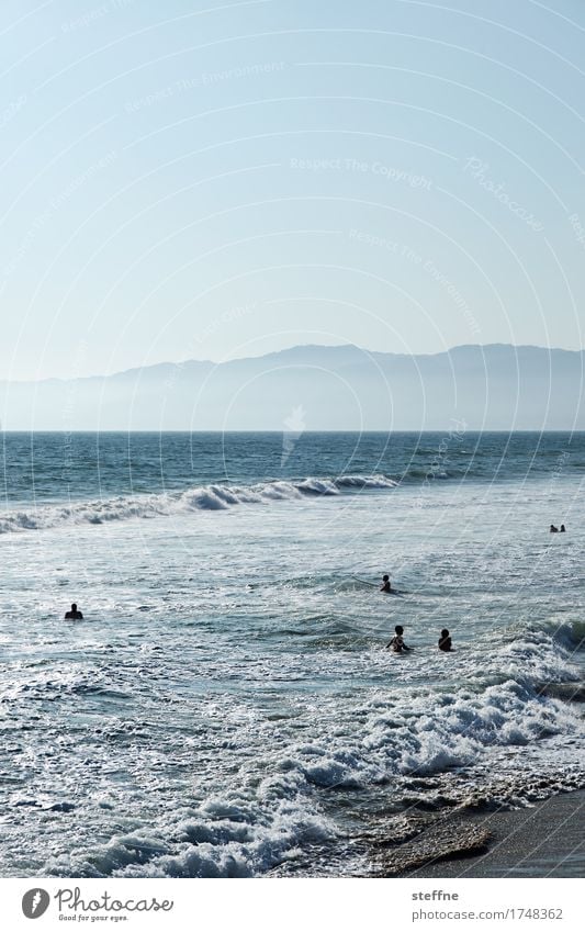 NATURE II Mountain Coast Ocean Swimming & Bathing venice beach Los Angeles Pacific Ocean Pacific beach Waves Colour photo Exterior shot