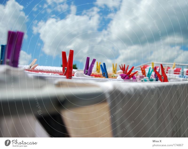laundry Exterior shot Detail Deserted Copy Space top Sunlight Sunbeam Climate Weather Beautiful weather Clothing T-shirt Fresh Clothesline Washing Clothes peg