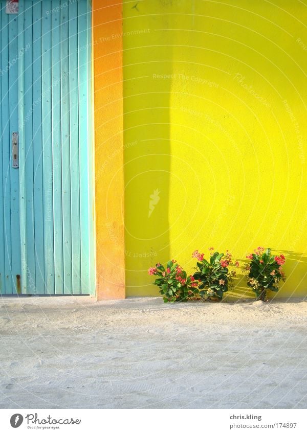 House entrance on Maafushi Colour photo Multicoloured Exterior shot Twilight Shadow Sunlight Central perspective Exotic Harmonious Relaxation Calm