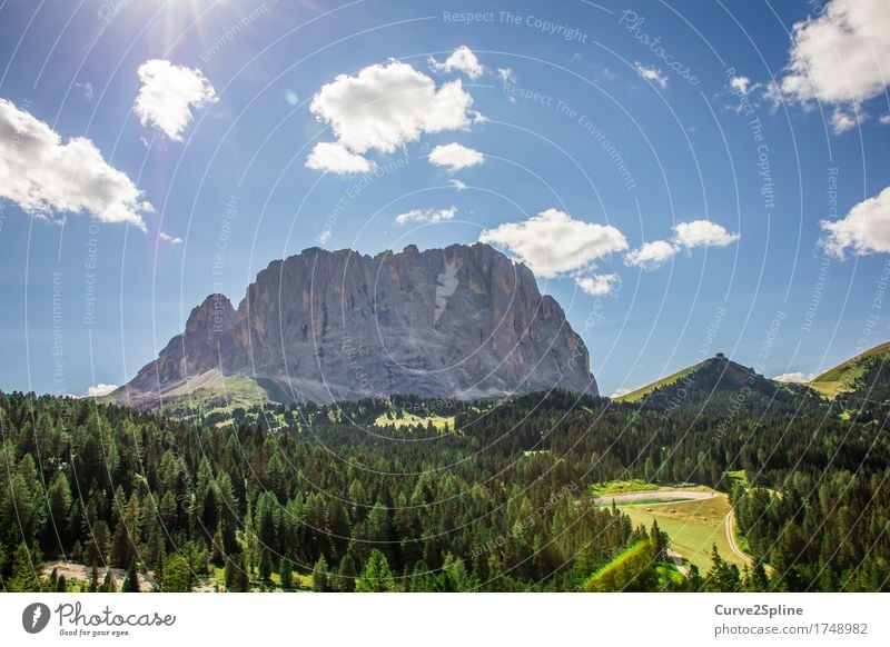 South Tyrol Nature Landscape Elements Sky Clouds Sun Summer Beautiful weather Tree Grass Bushes Foliage plant Meadow Field Forest Hill Rock Alps Mountain Peak