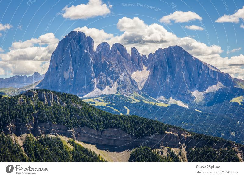South Tyrol Nature Landscape Elements Sky Clouds Storm clouds Summer Meadow Field Forest Hill Rock Alps Mountain Peak Firm Dolomites Freedom Eternity Green Blue