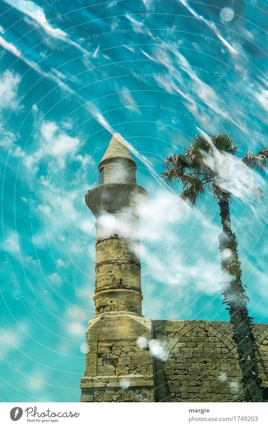Ancient mosque with palm tree and blue sky with clouds Leisure and hobbies Vacation & Travel Tourism Trip Adventure Far-off places Sightseeing City trip Summer
