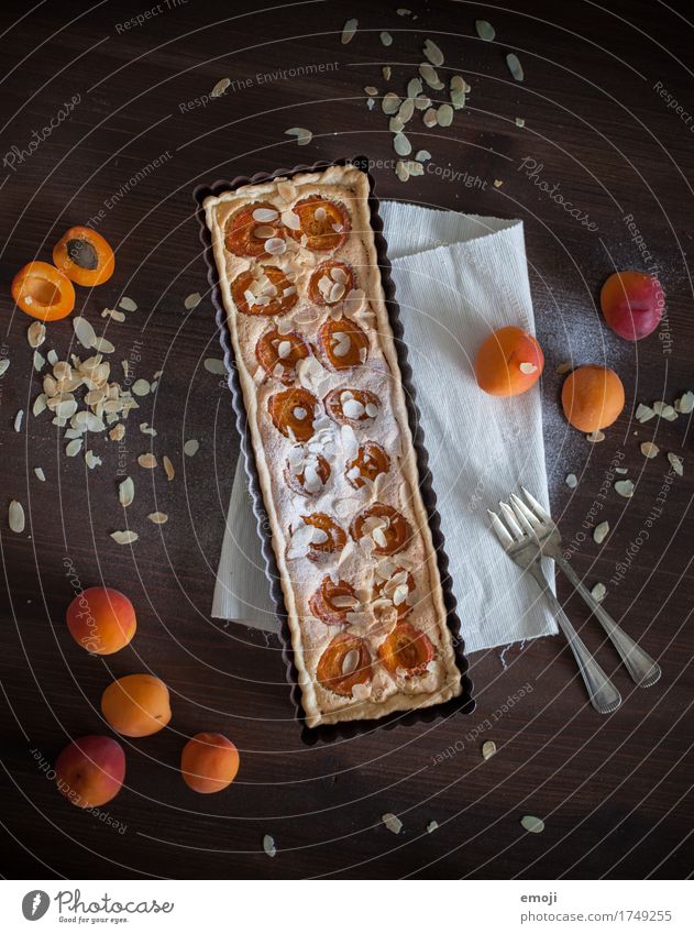 Apricot tart with almond cream Fruit Cake Dessert Candy Nutrition Slow food Delicious Sweet Orange Colour photo Interior shot Deserted Neutral Background Day