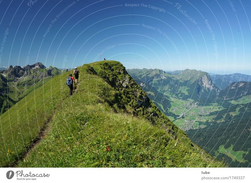 tightrope walk Hiking Environment Nature Landscape Cloudless sky Summer Beautiful weather Rock Alps Mountain Peak Lanes & trails Success Forest of Bregenz