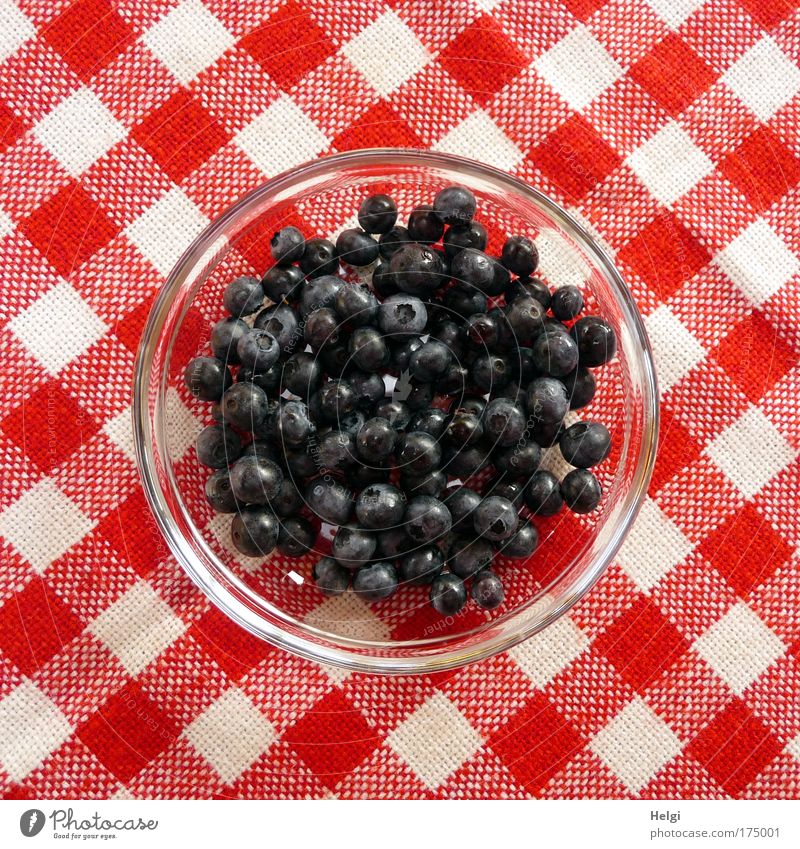 Blueberries in a glass bowl on a red and white chequered tablecloth Colour photo Multicoloured Exterior shot Deserted Copy Space left Copy Space right