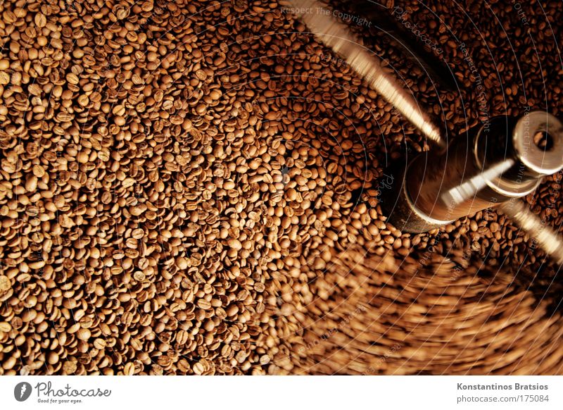 fresh coffee scent Colour photo Exterior shot Deserted Day Shadow Motion blur Food To have a coffee Organic produce Hot drink Coffee Espresso Coffee roaster
