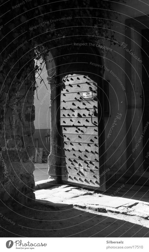Some door always opens! Shadow Sunlight Light Shaft of light Hope Architecture Black & white photo Grief Distress Door Castle open door Contrast Door open Open