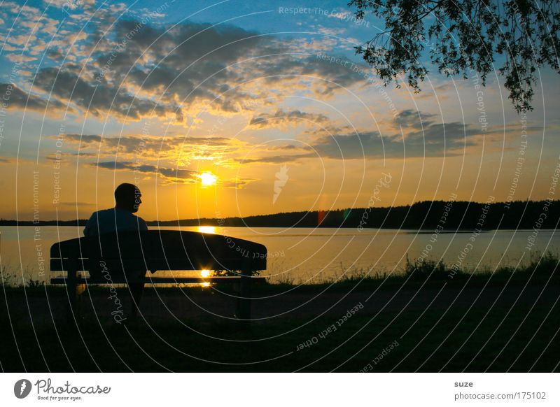 Sitting, Waiting, Wishing ... Freedom Closing time Human being Masculine Man Adults 1 Nature Landscape Sky Lakeside Bench To enjoy Emotions Moody Contentment